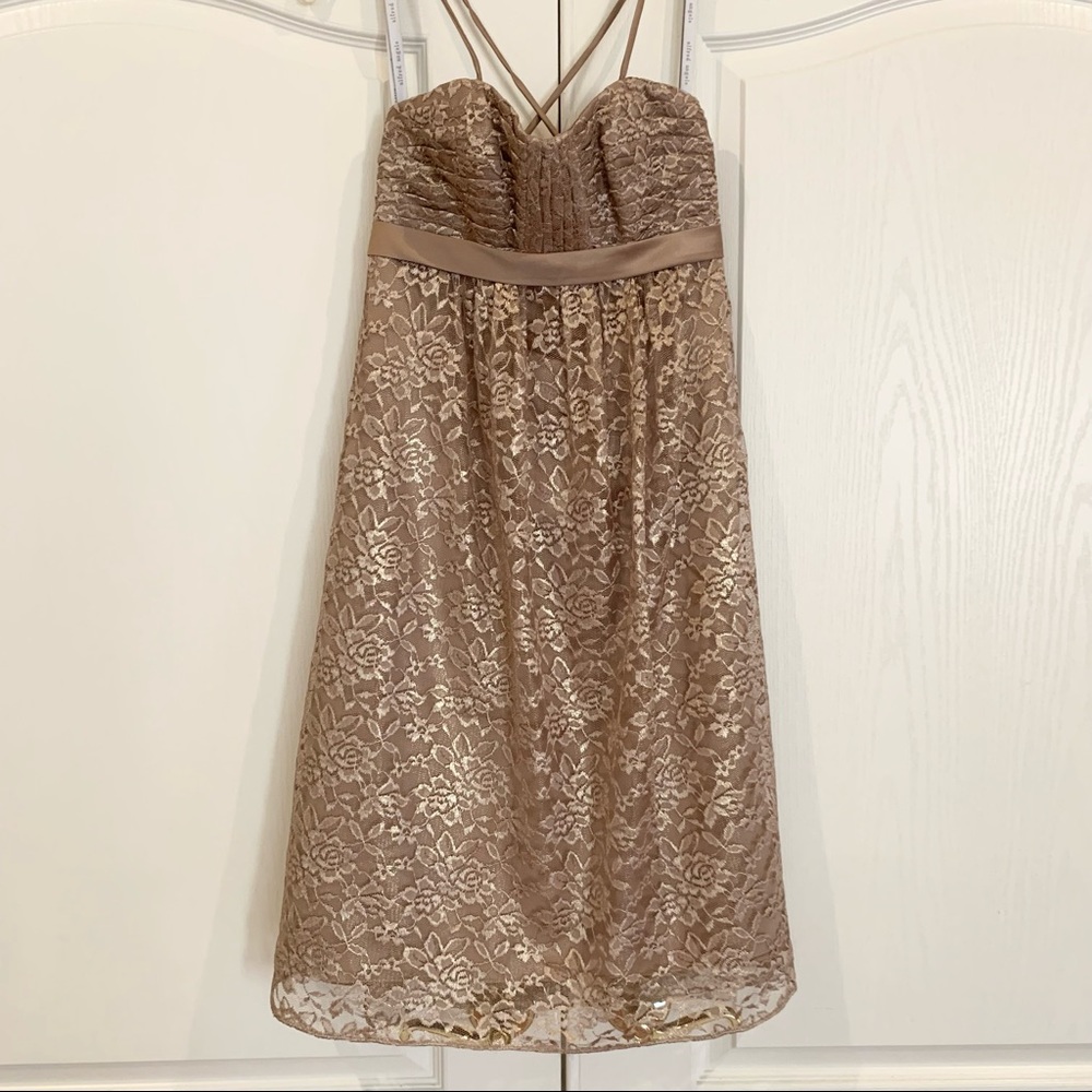 Alfred Angelo Shimmer Lace Cocktail Length Dress
